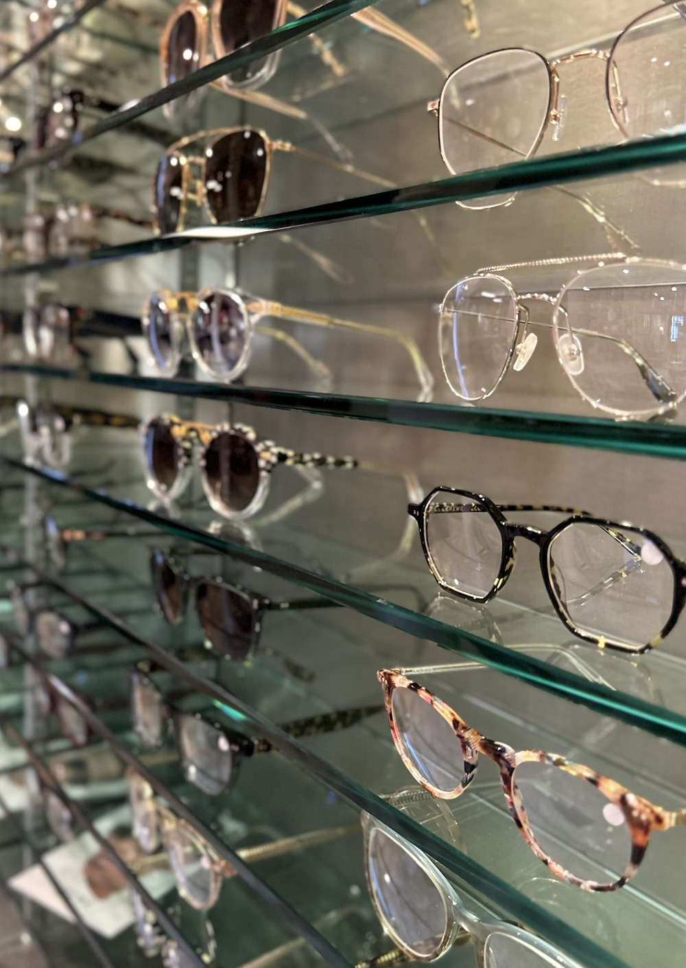 Hollywood Park Eye Studio - Optical Studio