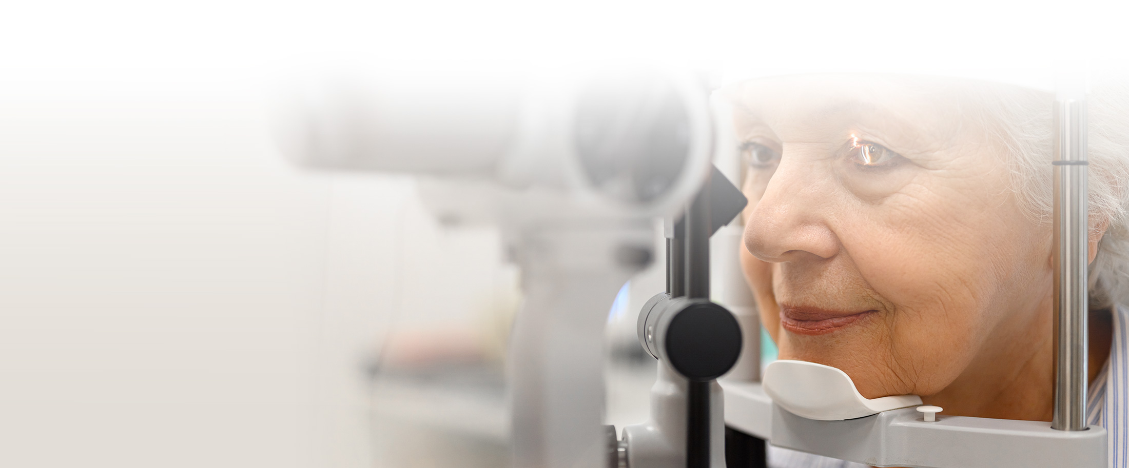 Hollywood Park Eye Studio Services