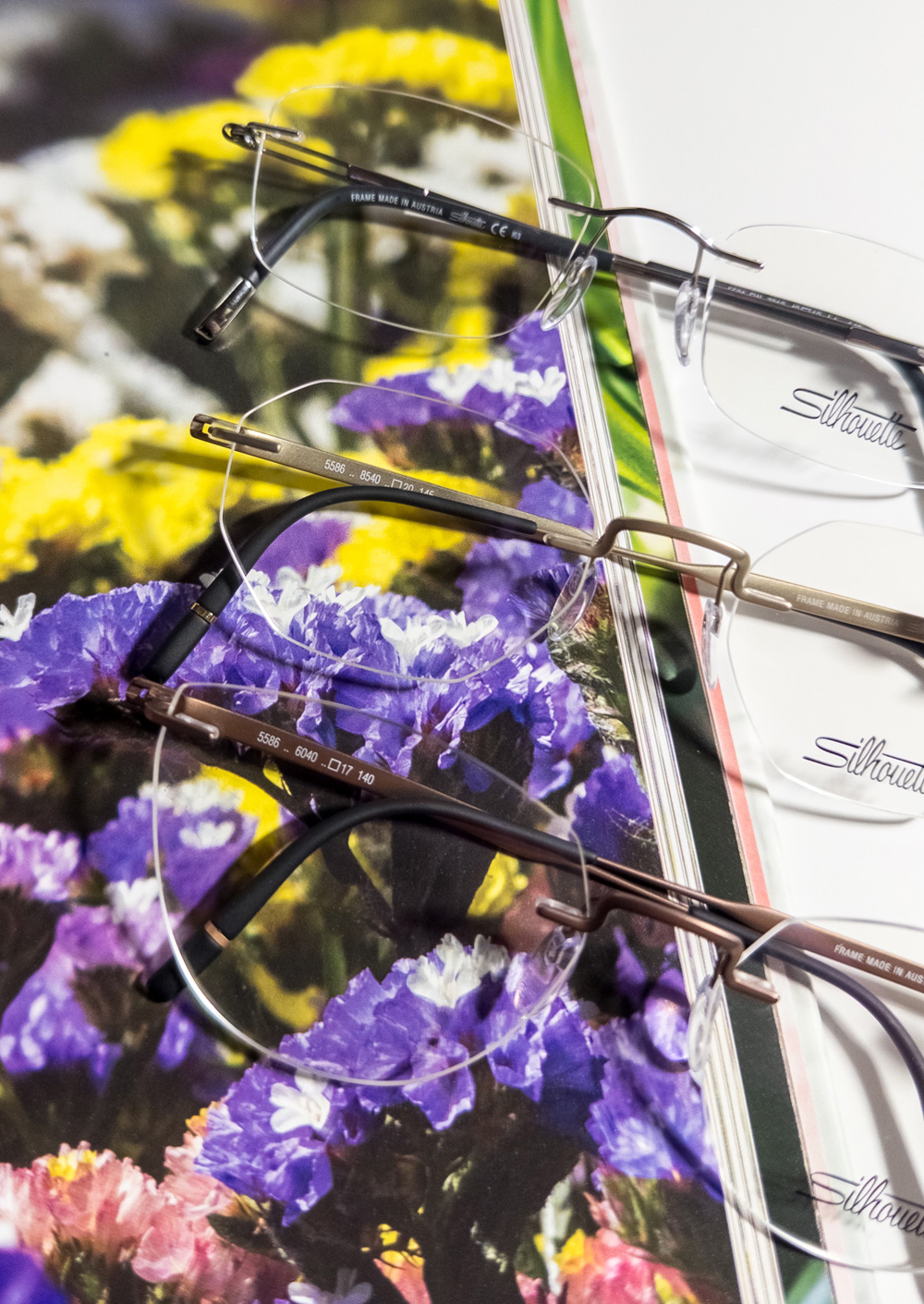 Hollywood Park Eye Studio - Optical Studio