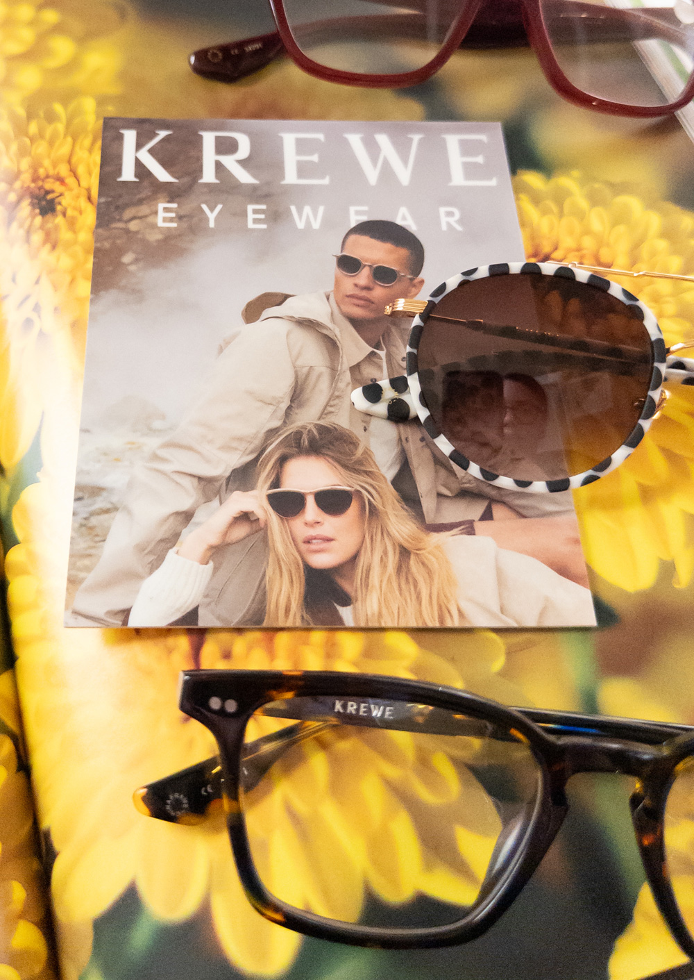 Hollywood Park Eye Studio - Optical Studio